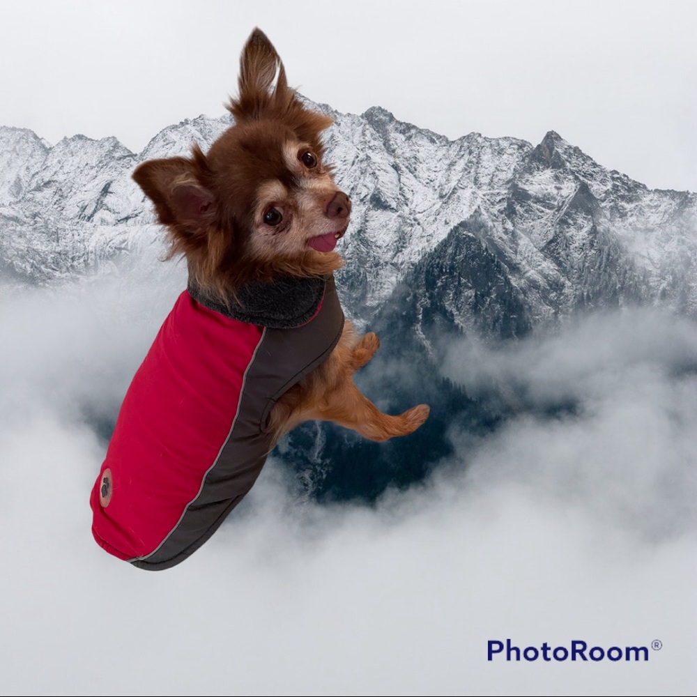 2 / $25 🐕🐕 ☃️❄️Cozy Winter Jacket for Small Dog❄️☃️